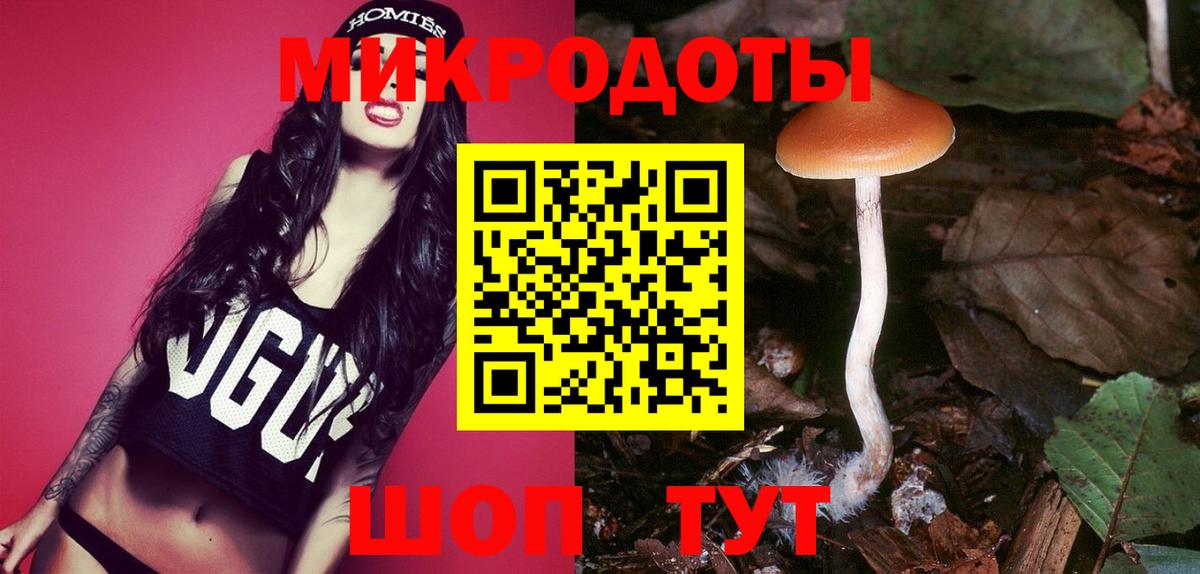 Галлюциногенные грибы мицелий  Вход с VPN  продажа наркотиков  Знаменск  Галлюциногенные грибы прущие грибы 
