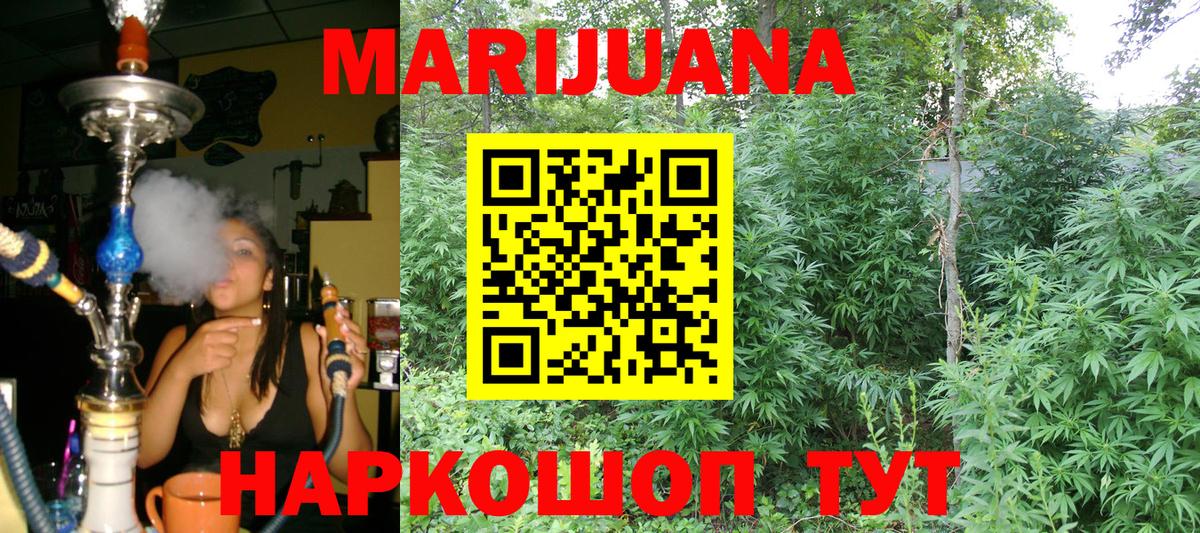 Бошки Шишки марихуана Знаменск
